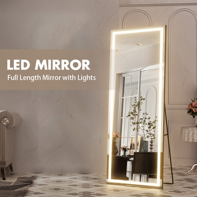 Dimmable LED Full Length Mirror with Lights , 65" x 24"
