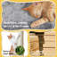 Large Adjustable Cat Tree-1698122727