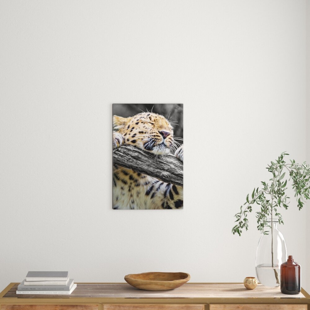 Leinwandbild Verspielter kleiner Leopard