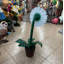Petite statue de marguerite blanche en pot