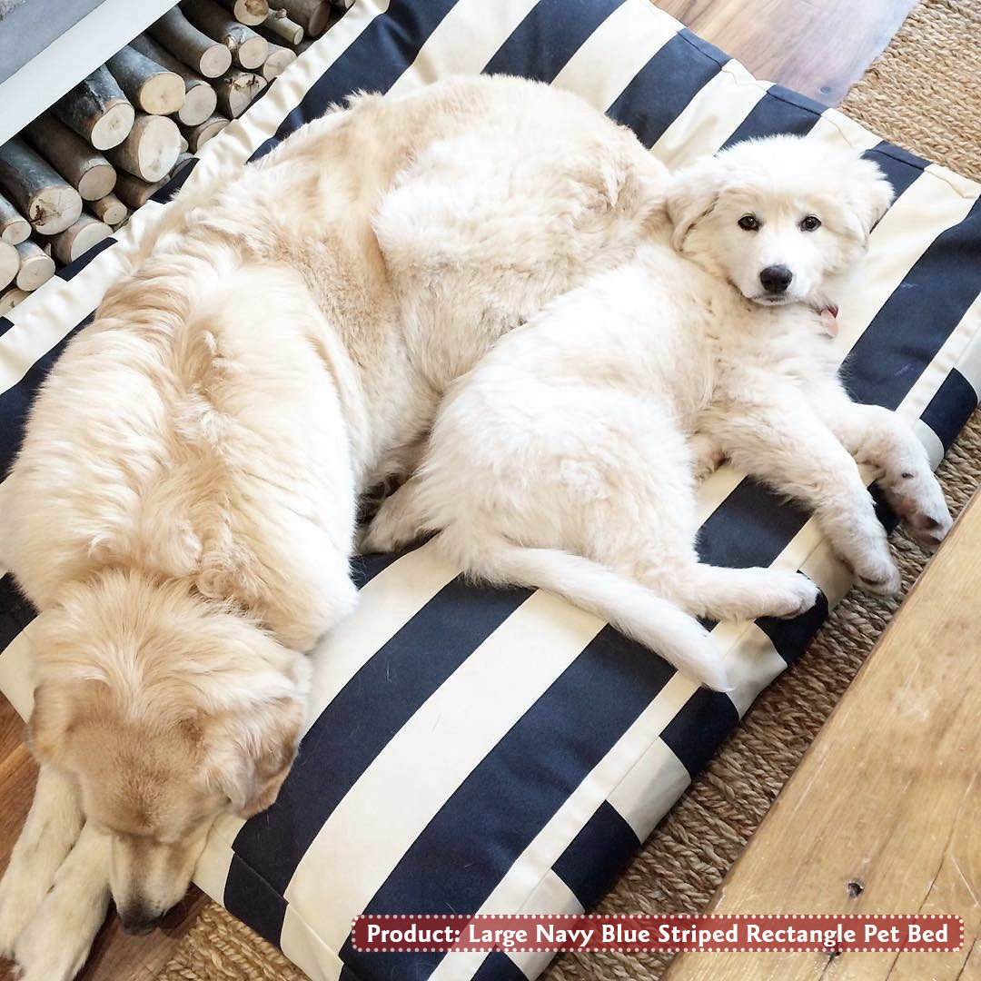 Majestic Washable Pet Bed, Navy Blue, Extra Large (42" W x 50" D x 5" H)