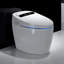 Ivy Bronx Adreena 1.28L LPF Elongated Floor Mounted One-Piece Toilet (Seat Included)