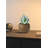 6.25'' Faux Succulent Plant in Stone Pot