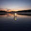 Crest Table Lamp-2112948384
