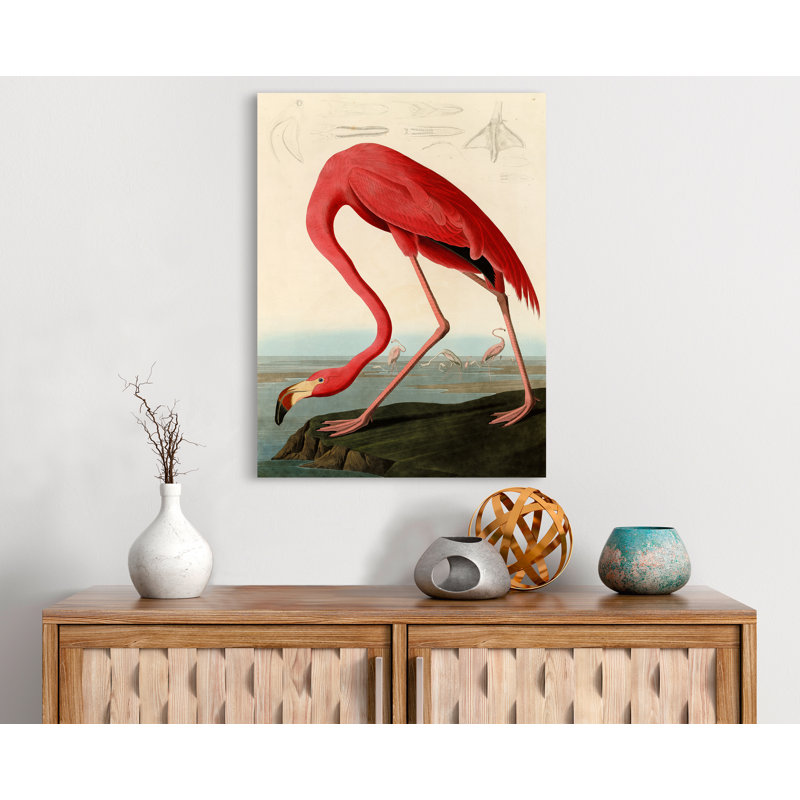 American Red Flamingo by John James Audubon - Wrapped Canvas Painting, 100cm H x 70cm W x 4cm D