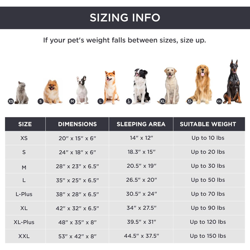 Lit confortable pour chien, H 6,5 po x l 28 po x P 38 po, Lavender