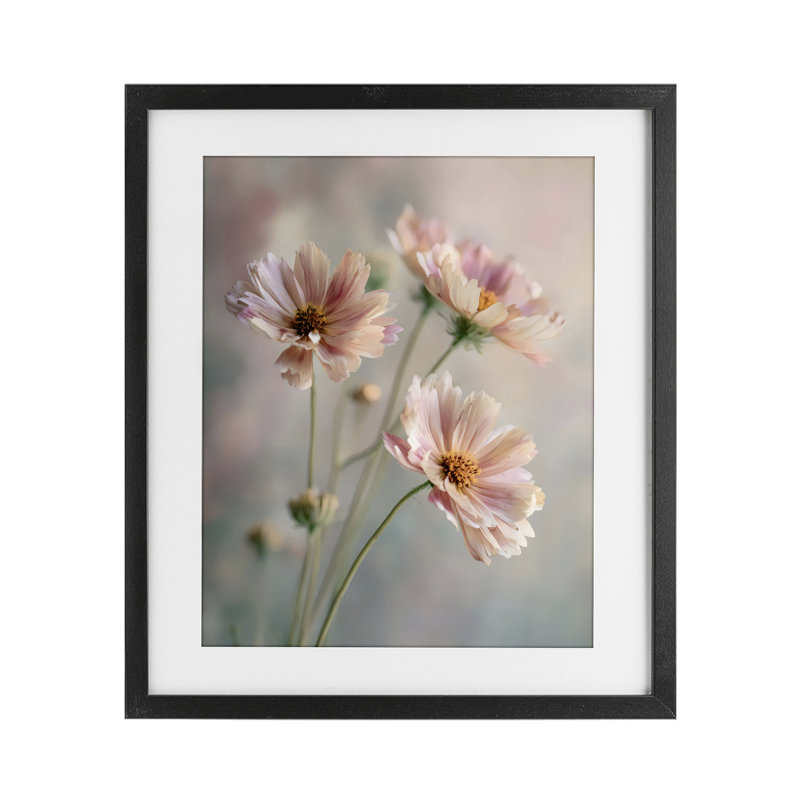 Motif de marguerites roses en gros plan sous verre, design par Franklyn Gregory, 21 x 17, Midnight Black Under Glass Framed