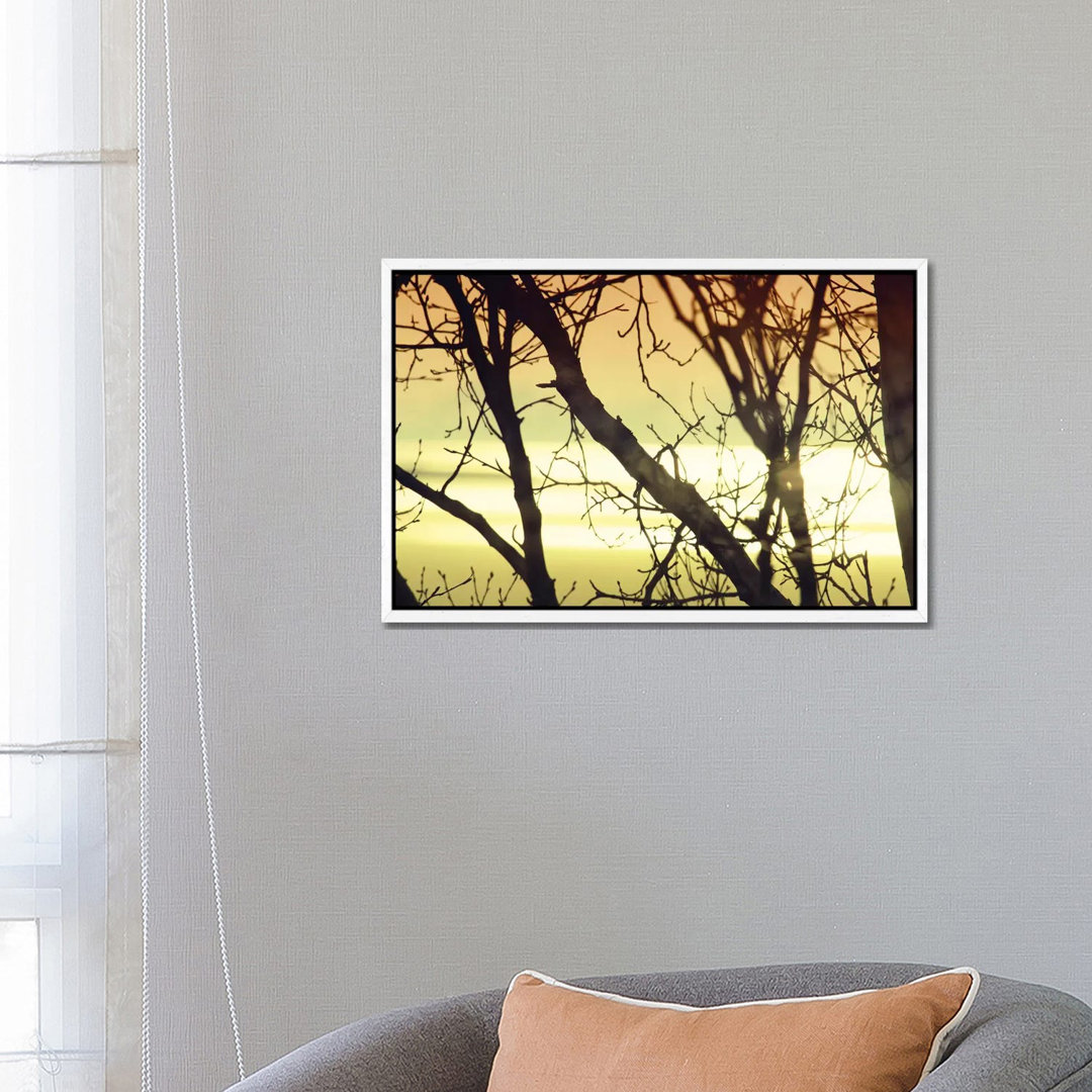 Aspen Sunset I von Savanah Plank - Galerie-verpackte Leinwand Giclée