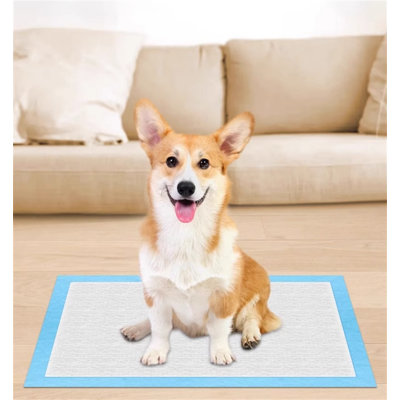 Tapis pour chien (ensemble de 50)