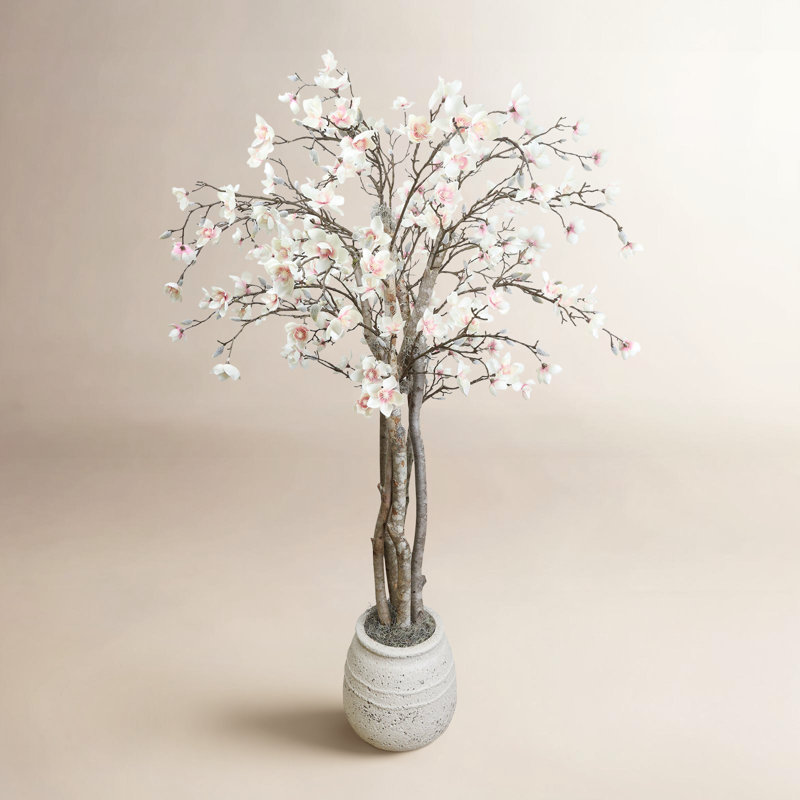 Magnolia Tree in Stone Pot
