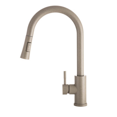Belfry Kitchen Tabyana Kitchen Faucet