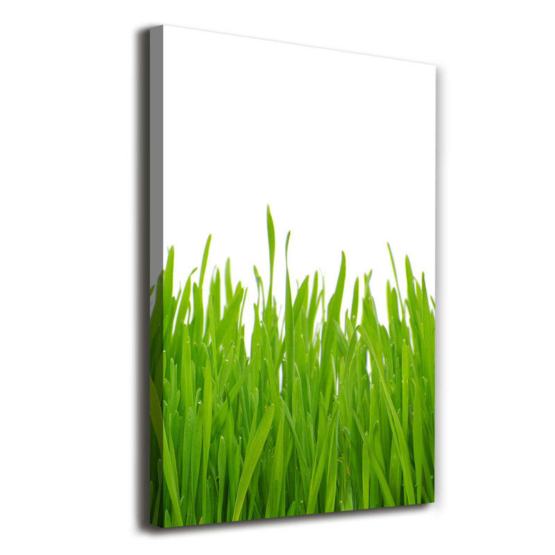 Green Grass - Wrapped Canvas Print