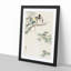 Great Tits in a Maple Tree by Ohara Koson - Picture Frame Painting Print-55575531-55575529