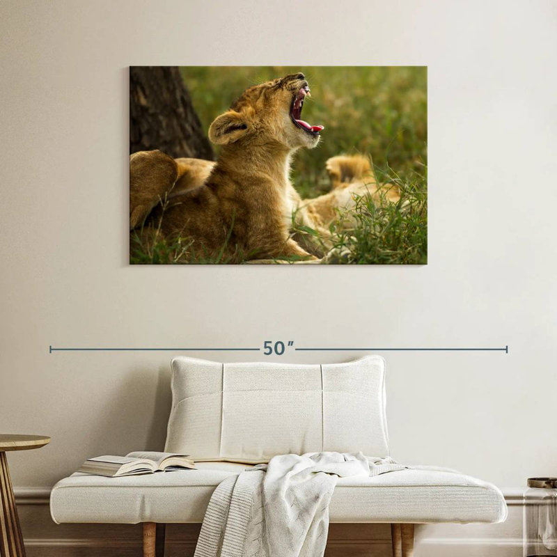 Crowle Sleepy Lion Cub, H 26 po x l 39 po