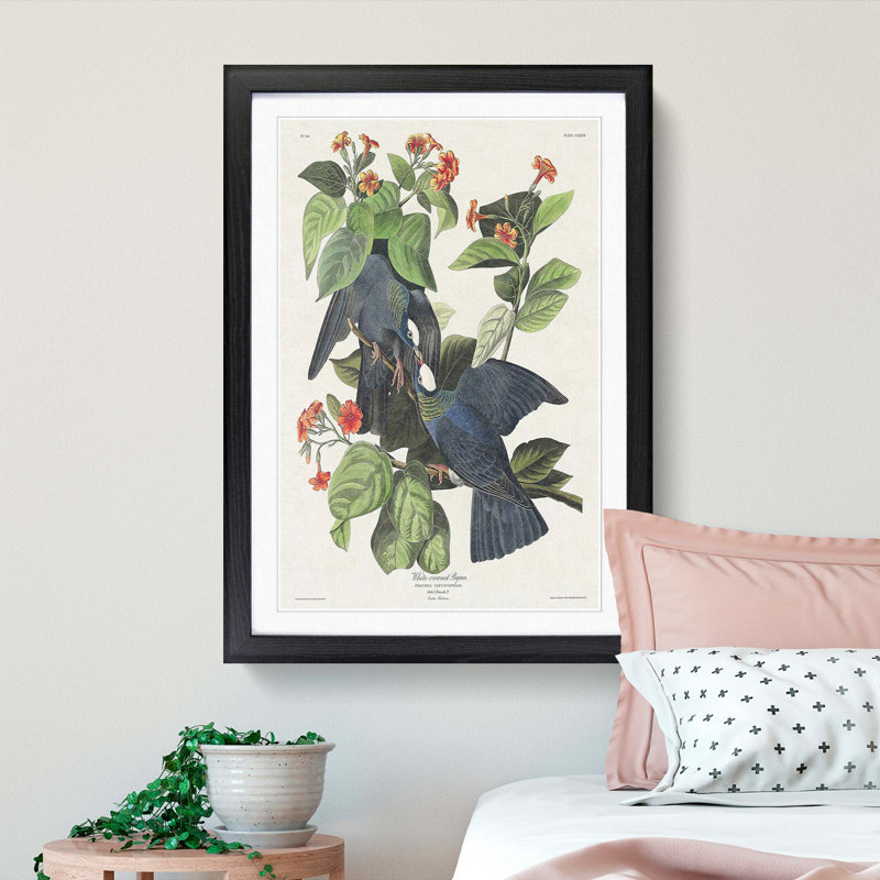 White-Crowned Pigeons by John Audubon - Picture Frame Painting Print, 65cm H x 48cm W x 2cm D, Black Framed