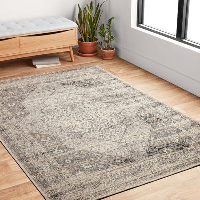 Kiera-Lee Oriental Indoor / Outdoor Rug