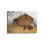 «Grandpa's Tractor» par Linda Spivey, reproduction d'art