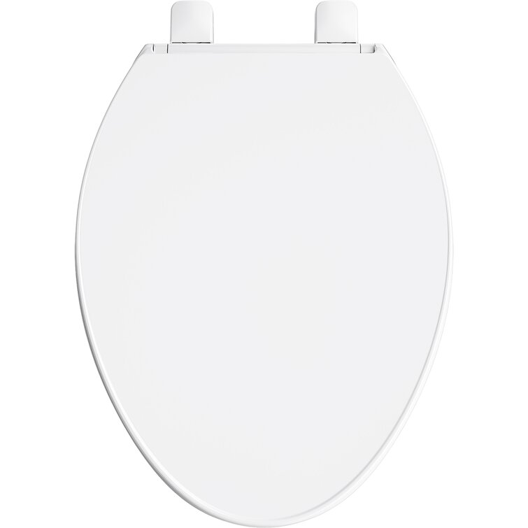 https://assets.wfcdn.com/im/49142727/resize-h755-w755%5Ecompr-r85/1429/142950157/Border+Readylatch+Quiet-Close+Toilet+Seat.jpg