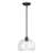 Glint 12" 1-Light Convertible Pendant/Semi-Flush Mount