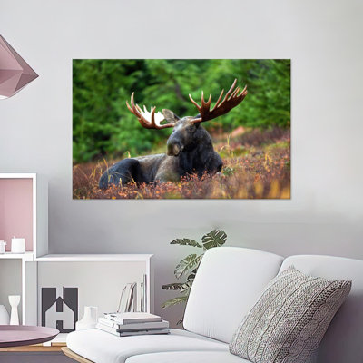 Large Personalized Elk Canvas Poster Serving as Striking Man Cave Wild Animal Art for Home and Office Decor