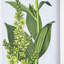 4 suspensions murales de fleurs, 20 par 28 pouces, décoration intérieure pour espaces multiples, look classique, décor de 4 impressions botaniques, 20 po x 28 po, dans différents espaces, élégance, élément naturel