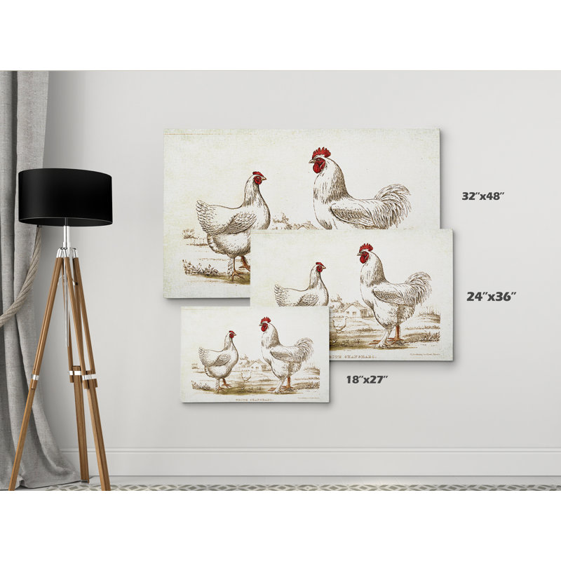 « poulet sketch ii », impression, H 18 po x l 27 po x P 1,5 po, Pas de tapis, Toile tendue