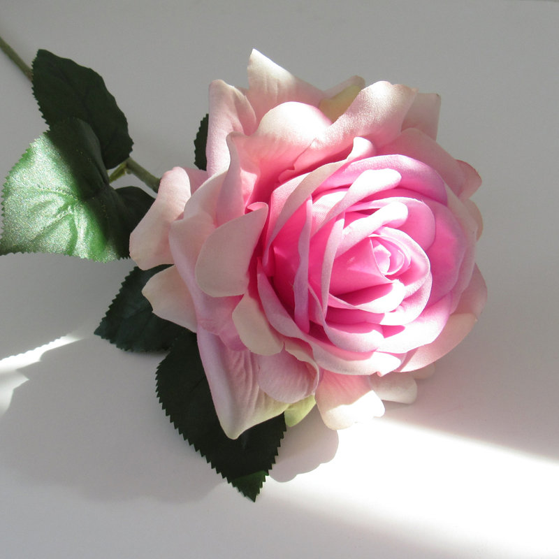 Grandes tiges roses en velours, Rosé