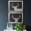 Brow Tine Deer I - ensemble de 2 peintures encadrées-1661126959-1661126958