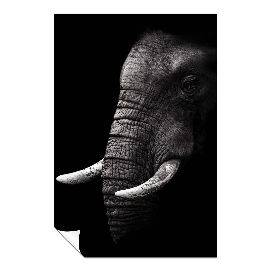 Panther Print Fine Art Prints Old Wrinkled Elephant Portrait Artistic Unframed Poster, Pictures For Home Walls, Bedroom, Living Room & Bathroom Decor
