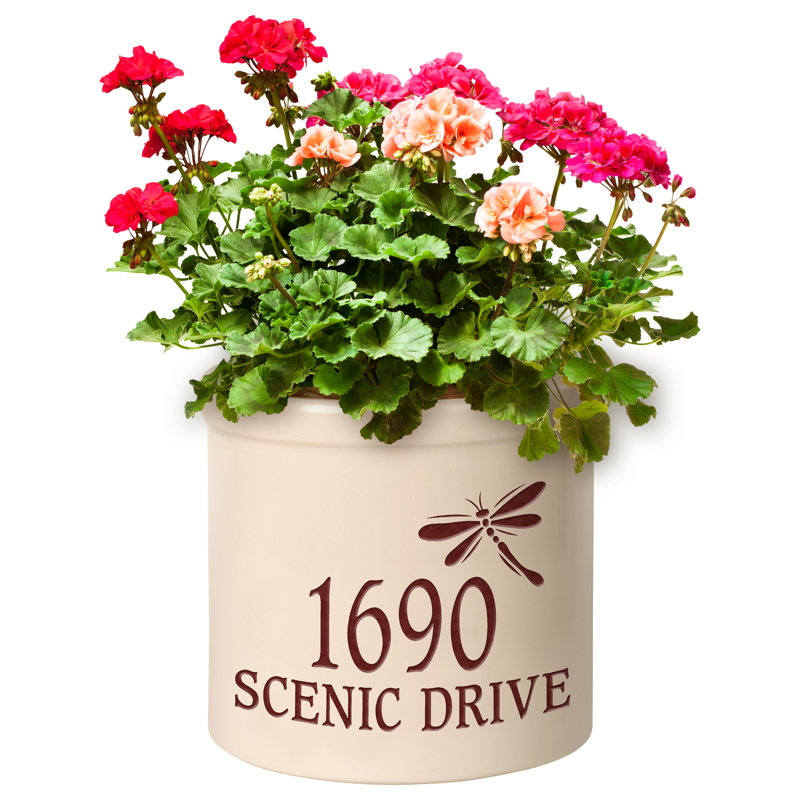 Pot de fleurs en céramique Woolery, Rouge