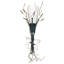 Cattail 1 - Light Wallchiere