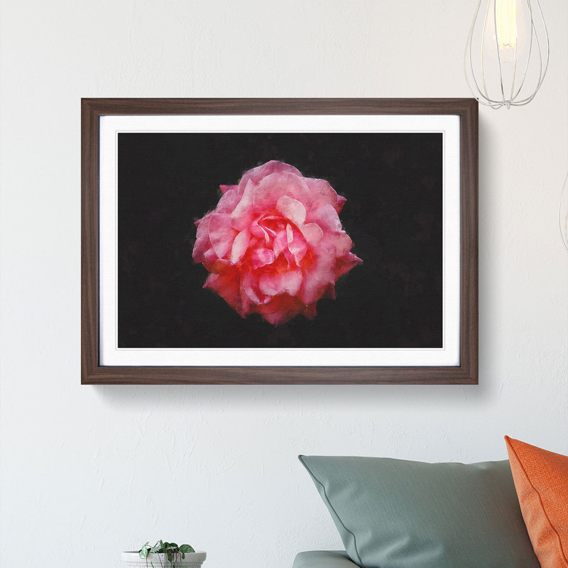 Lone Pink Carnation - Picture Frame Graphic Art Print, Walnut Framed, 62cm H x 87cm W x 2cm D