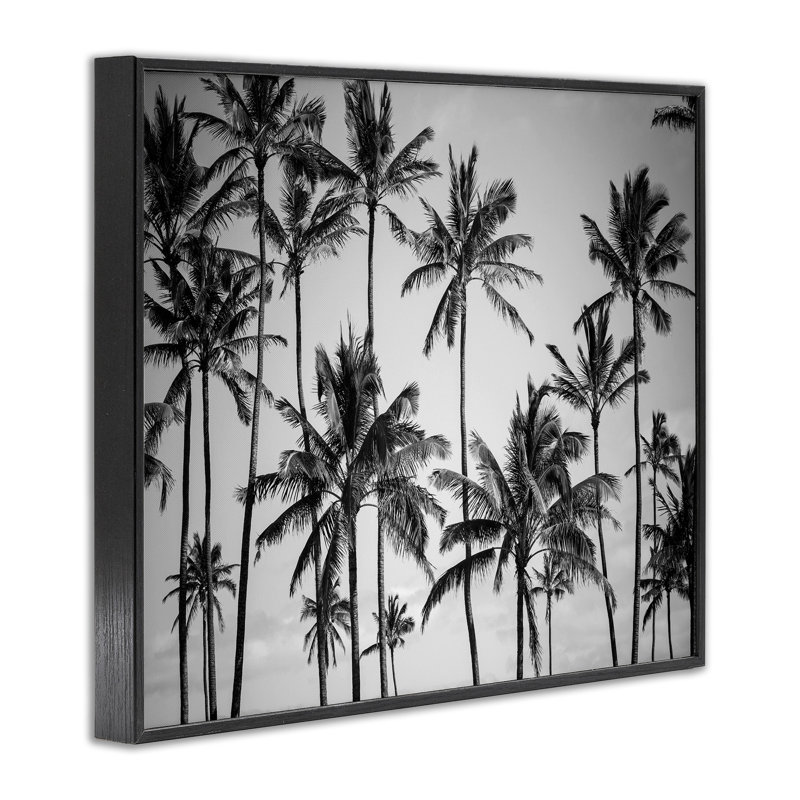 «Palm Trees Skyline» par Design Fabrikken, reproduction de photo, H 16 po x l 20 po, Giclée encadrée noir minuit