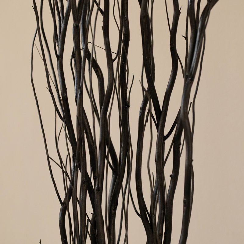 Seaford Willow Branches, Black, 59" H