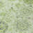 Machine Washable Indoor/Outdoor Xhevrie Aloe Rug-1061704840