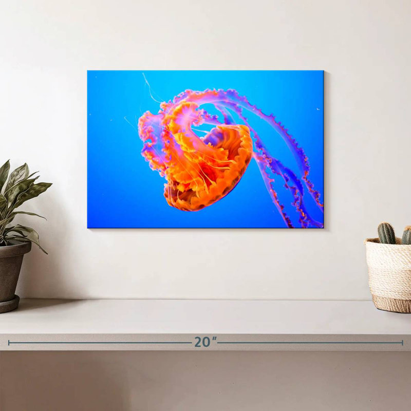Brampt Jellyfish Somersault, 8" H x 12" W