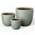 Sage Green (Upgraded Interior) est en rupture de stock