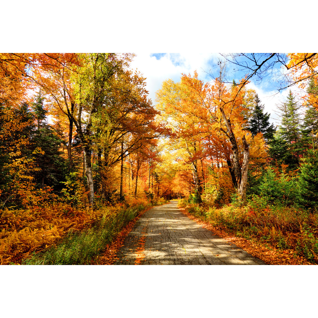 Autumn Road In New Hampshire von DenisTangneyJr - Wrapped Canvas Set