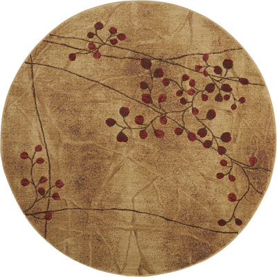 Jaciere Rug