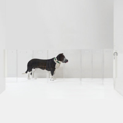 Clear Zig Zag Wall-Mounted Pet Gate