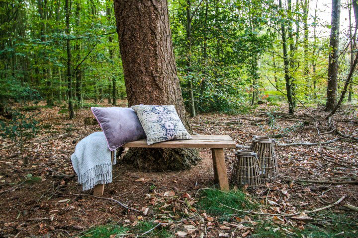Agron Solid Wood Bench