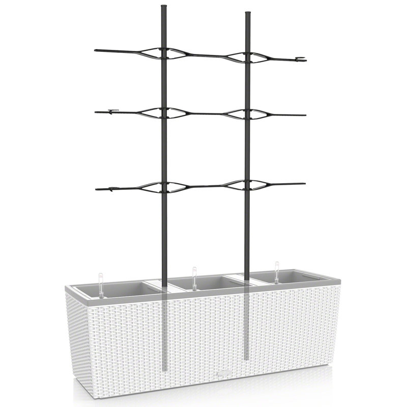 Lattice Panel Trellis, 170 cm H x 113 cm W
