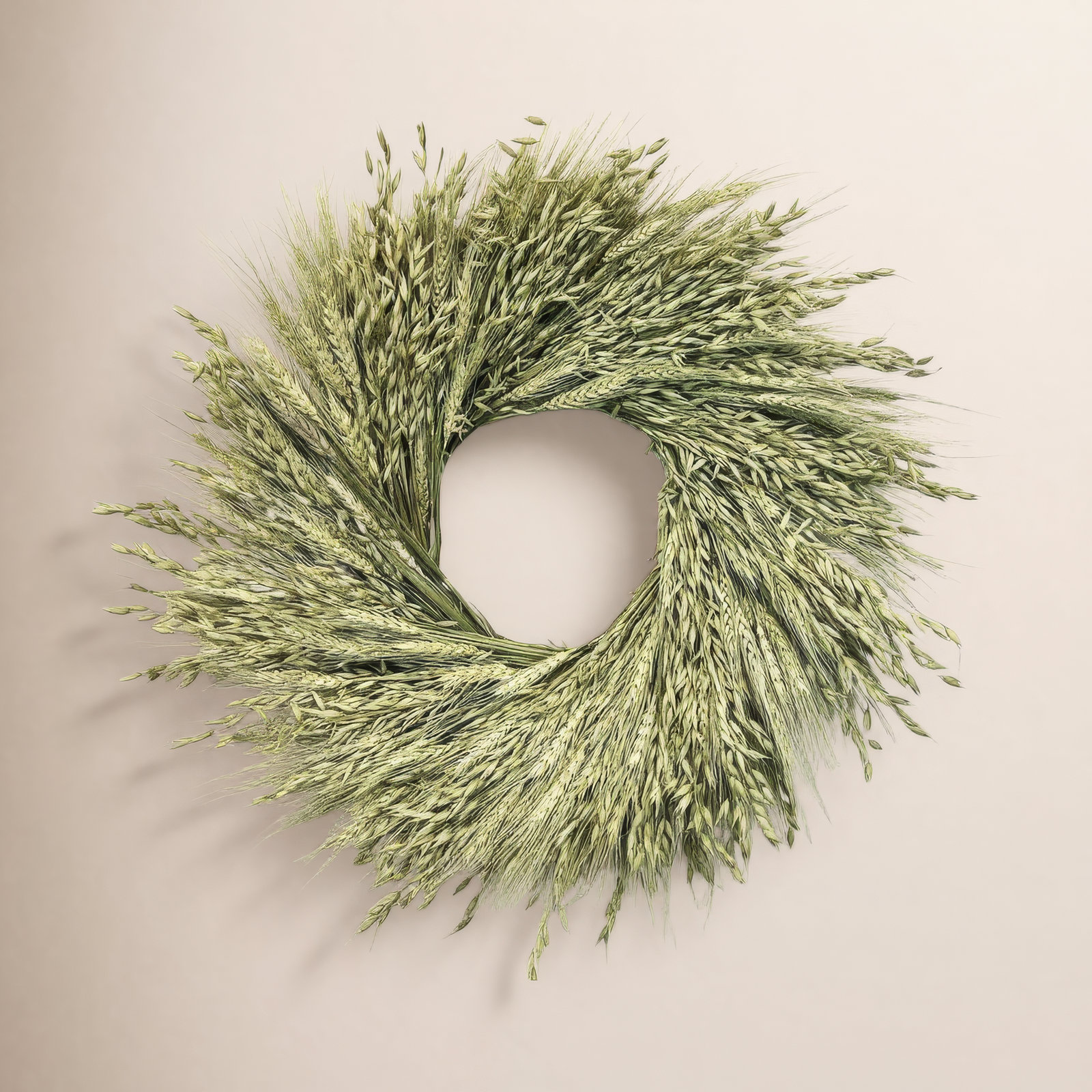 Dried Flowers Green Wheat and Avena Oats Simple Organic Wreath, 22" H x 22" W x 5" D