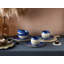 Deep Blue Sea 8 Piece Dinnerware Set, Service For 2
