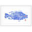 " Tilapia Blue " by Andrew Clay-20585230