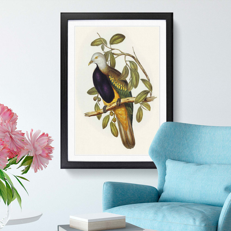 Magnificent Fruit Pigeons by Elizabeth Gould - Picture Frame Painting Print, 36cm H x 27cm W x 2cm D, Black Framed