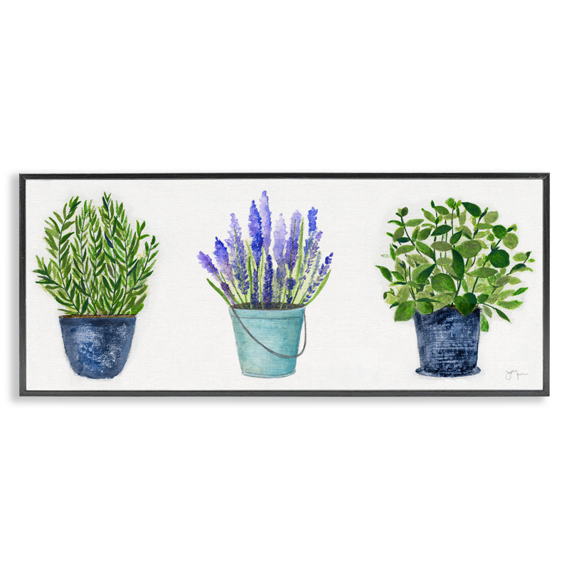 Plantes en pot variées, Giclée encadrée noir minuit, H 10 po x l 24 po x P 1,5 po