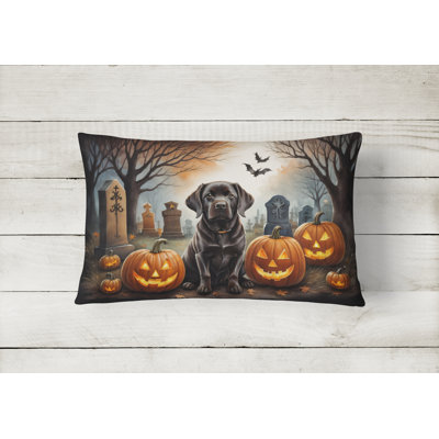 Other/No Pattern Outdoor Throw Pillow