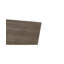 Striped Area Rug in Beige