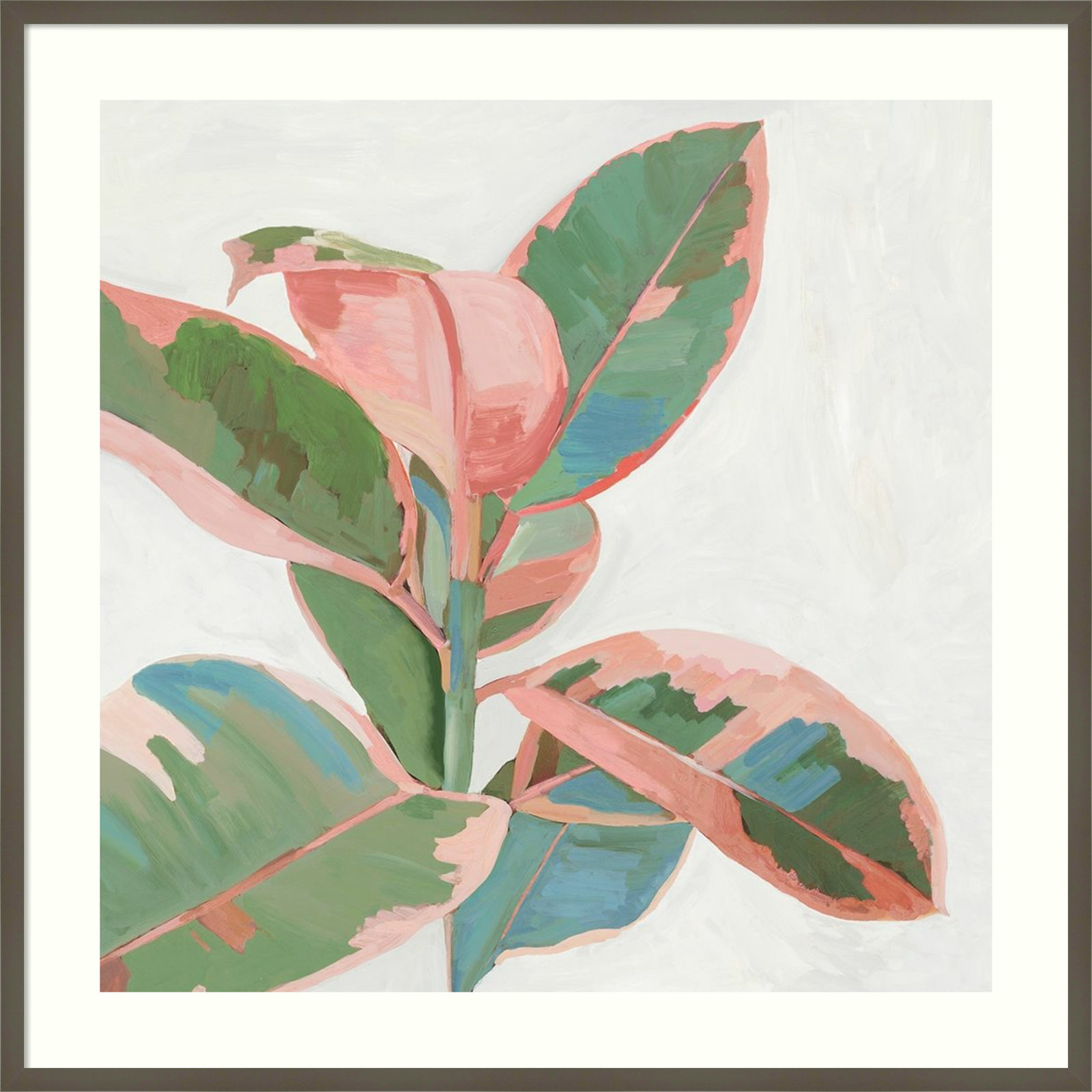 Pink Ficus I Print by Asia Jensen, Gray Framed Paper, 33" H x 33" W